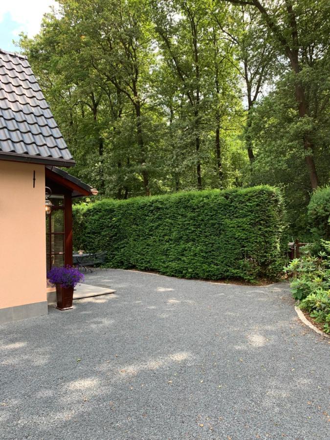 Romantisch Gastenverblijf 'Het Vogelhuisje' Lunteren Exteriör bild