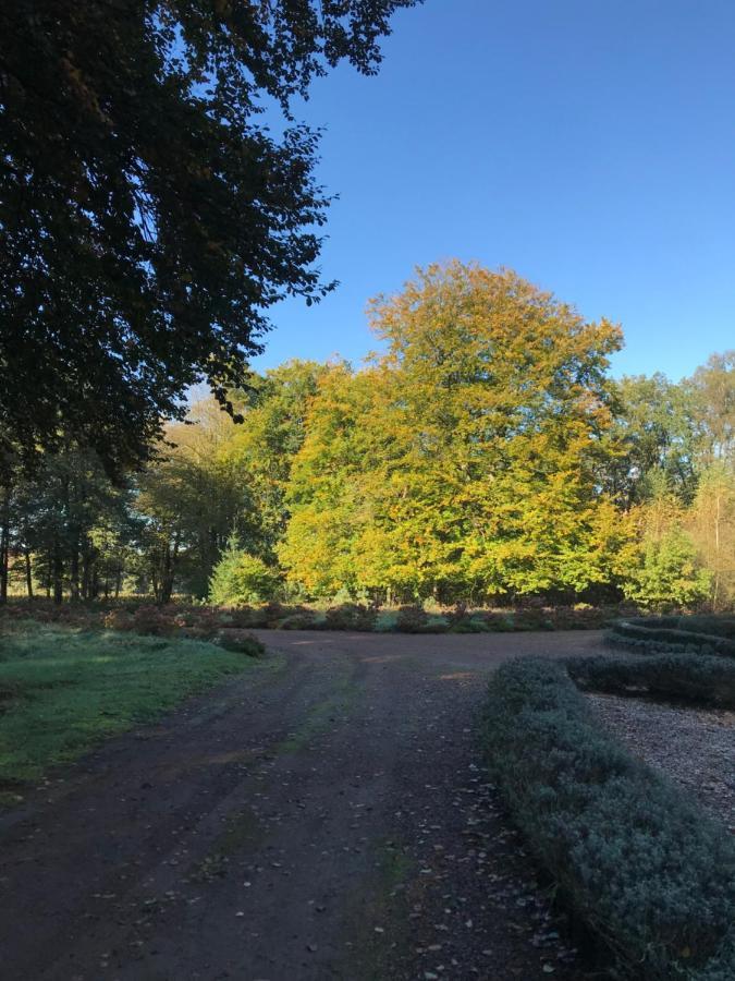 Romantisch Gastenverblijf 'Het Vogelhuisje' Lunteren Exteriör bild